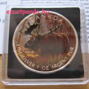Jávorszarvas / Moose 2012 1 uncia színes ezüst pénzérme