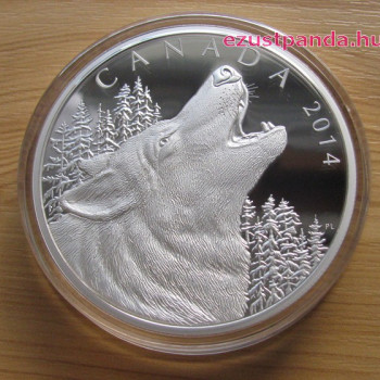 Üvöltő Farkas / Howling Wolf  0,5 kg proof ezüst pénzérme