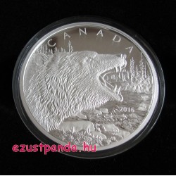 Ordító Grizzly / Roaring Grizzly 2016 0,5 kg proof ezüst pénzérme