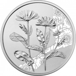 A virágok nyelvén - A körömvirág 10 EUR 2022 ezüst pénzérme (normál veret)