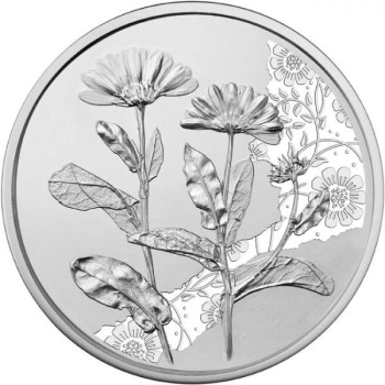 A virágok nyelvén - A körömvirág 10 EUR 2022 ezüst pénzérme (normál veret)