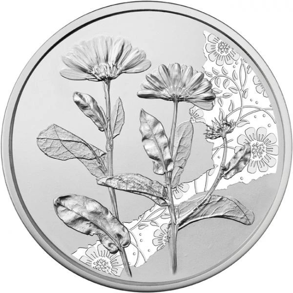 A virágok nyelvén - A körömvirág 10 EUR 2022 ezüst pénzérme (normál veret)