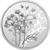 A virágok nyelvén - A kamilla 10 EUR 2023 ezüst pénzérme