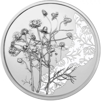 A virágok nyelvén - A kamilla 10 EUR 2023 ezüst pénzérme