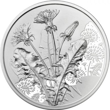 A virágok nyelvén - A pitypang 10 EUR 2022 ezüst pénzérme (normál veret)
