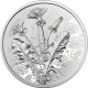 A virágok nyelvén - A pitypang 10 EUR 2022 ezüst pénzérme (normál veret)