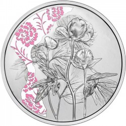 A virágok nyelvén - A pünkösdi rózsa 10 EUR 2024 proof ezüst pénzérme