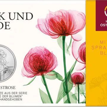 A virágok nyelvén - A pünkösdi rózsa 10 EUR 2024 ezüst pénzérme (normál veret)