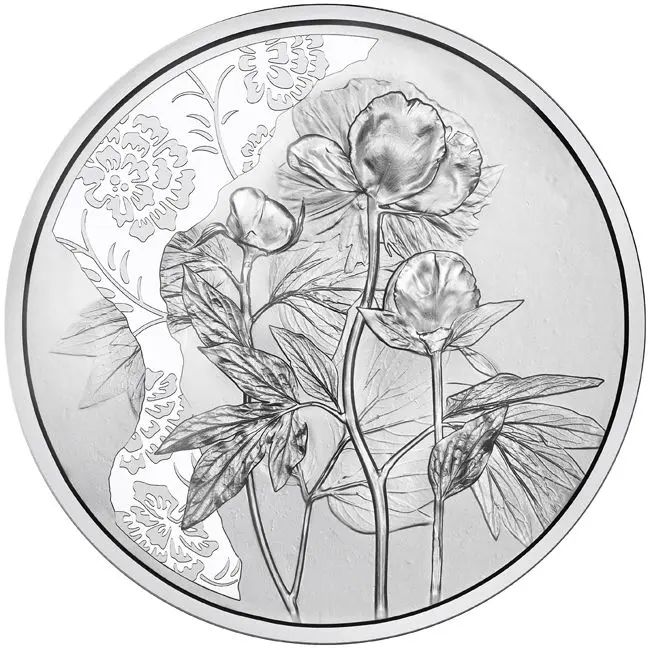 A virágok nyelvén - A pünkösdi rózsa 10 EUR 2024 ezüst pénzérme (normál veret)