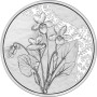 A virágok nyelvén - Az ibolya 10 EUR 2024 ezüst pénzérme (normál veret)