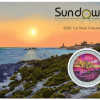 Kenguru 2026 1 uncia színes ezüst pénzérme "Sundowner Edition" LIMITÁLT!