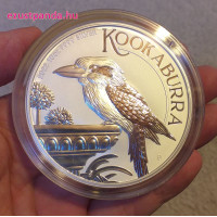 10 uncia (311g)