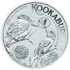 Kookaburra 2023 1 uncia ausztrál ezüst pénzérme "ANDA Brisbane"-  KÜLÖNKIADÁS 2.000 PÉLDÁNYBAN!