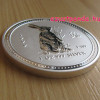 Az első Lunar ezüst és arany sorozat fotói (1999-2010) Az első Lunar ezüst és arany sorozat fotói (1999-2010)