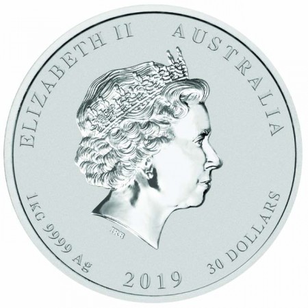 Lunar2 Disznó éve 2019 1 kilogramm színes ezüst pénzérme, drágakővel Lunar2 Disznó éve 2019 1 kilogramm színes ezüst pénzérme, drágakővel