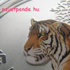 Lunar2 Tigris éve 2010 1 kilogramm színes ezüst pénzérme, topázzal