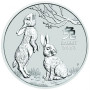 Lunar3 Nyúl éve 2023 2 uncia ezüst pénzérme