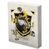 Harry Potter - Roxfort Házak HUGRABUG 5 gramm színezüst fólia bankjegy érme Niue-sziget 2020 Harry Potter - Roxfort Házak HUGRABUG 5 gramm színezüst fólia bankjegy érme Niue-sziget 2020