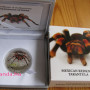 Mexikói tarantula - Niue 2012 1/2 uncia proof ezüst pénzérme