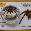 Mexikói tarantula - Niue 2012 1/2 uncia proof ezüst pénzérme