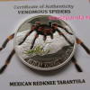 Mexikói tarantula - Niue 2012 1/2 uncia proof ezüst pénzérme