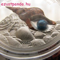 Tritonkürt csiga igazgyönggyel Palau 2016 1 uncia ezüst pénzérme
