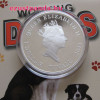 Border Collie kutya 2011 1 uncia proof ezüst pénzérme