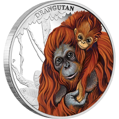 Anyai szeretet - Orangután 2014 1/2 uncia színes ezüst pénzérme Anyai szeretet - Orangután 2014 1/2 uncia színes ezüst pénzérme