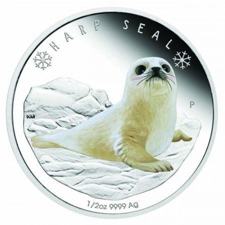 Fókabébi 2017 1/2 uncia színes ezüst pénzérme