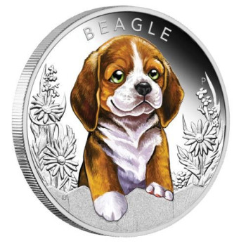 Kutyakölykök 2018 Beagle 1/2 uncia színes ezüst pénzérme
