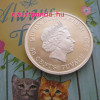 Mindig együtt - Cicák - Always Together 2015 1/2 uncia színes ezüst pénzérme Mindig együtt - Cicák - Always Together 2015 1/2 uncia színes ezüst pénzérme