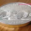 Panda 2013 1 uncia ezüst pénzérme