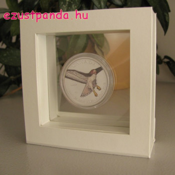 Érme display doboz LINDNER Nimbus 70 1 db érméhez (fehér)