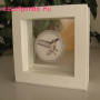 Érme display doboz LINDNER Nimbus 70 1 db érméhez (fehér)